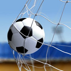 soccer ball is in goal net