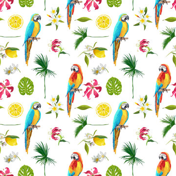 Tropical Background. Toucan Bird. Cactus Background. Tropical Flowers