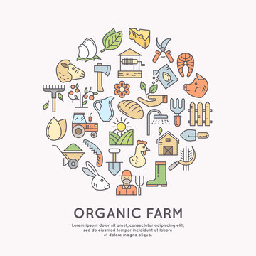 Organic farm icon