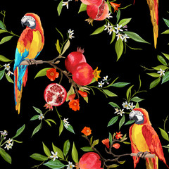 Fototapeta premium Tropical Flowers, Pomegranates and Parrot Birds Background 
