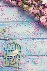 Background  with elegant  pink flowers on blue wooden planks.