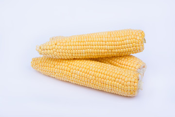 Fresh corn cobs on white background