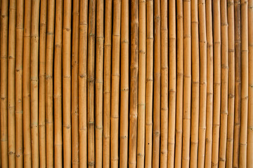 Dry bamboo wall, For texture and background.