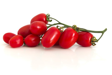Tomatoes branch isolated on white background