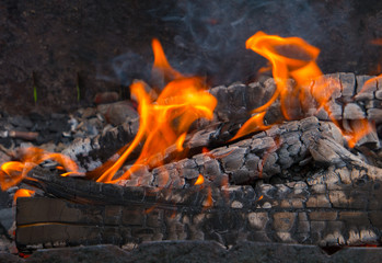 Burning wood in the fire close-up