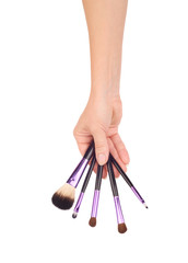 brushes for the face in the girl's hand