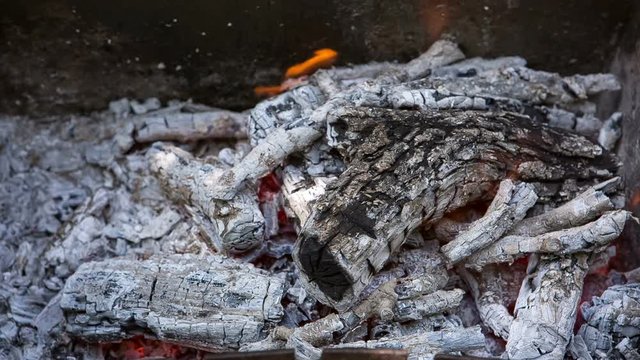 Food. Preparation of roasted meat on the fire outdoors for a picnic and relax.