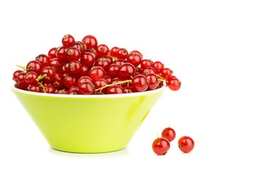 A bowl of red currants on a white background