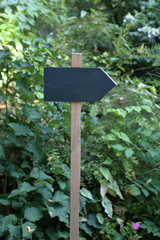 Direction pointer without words