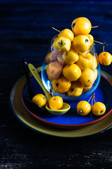Autumnal concept with crab apples