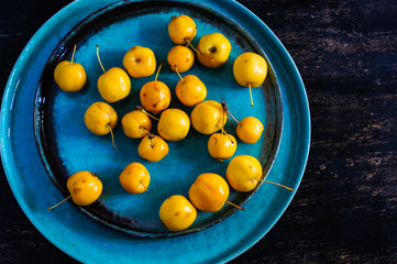 Autumnal concept with crab apples