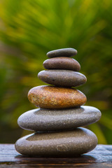 Fototapeta na wymiar stack of round smooth wet pebbles balanced in front of a yucca