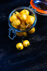 Autumnal concept with crab apples