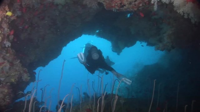 scuba diving maldives cave diving