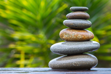 Fototapeta na wymiar stack of round smooth wet pebbles balanced in front of a yucca