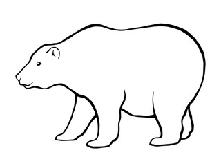 Bear graphic art animal black white isolated illustration vector