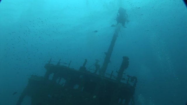 colored corals and schools of colorful fish scuba diving maldives