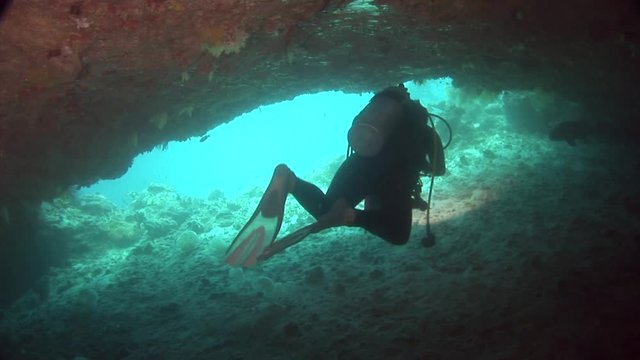 diver dive a cave fish and coral beautiful colors scuba diving maldives  scuba diving maldives