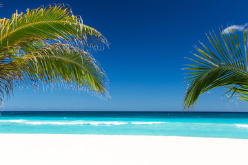 Obraz na płótnie Canvas Tropical beach with coconut palm tree leafs, turquoise sea water