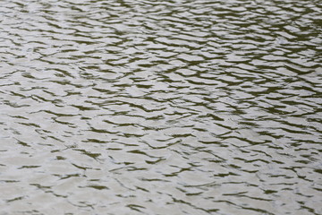 surface of the water in a pond ripple small.