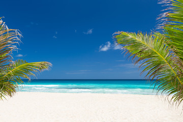 Naklejka na ściany i meble Perfect caribbean beach