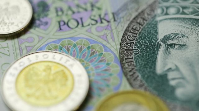 close-up of different contemporary Polish paper money and coins