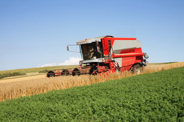 moisson en fine de journée