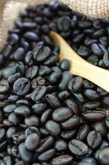 Coffee Bean