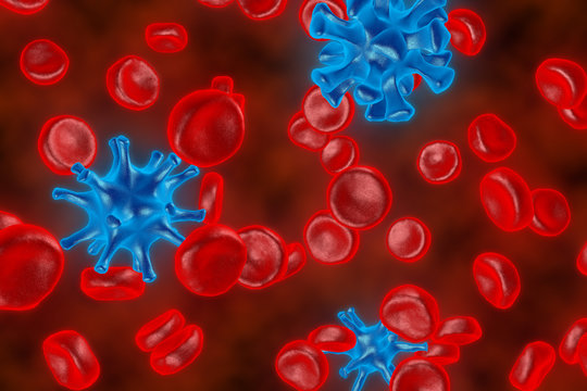 The red blood cells. 3D render of blood defeat the virus. Red blood cells are fighting the bacteria. Protection of cages of an organism.