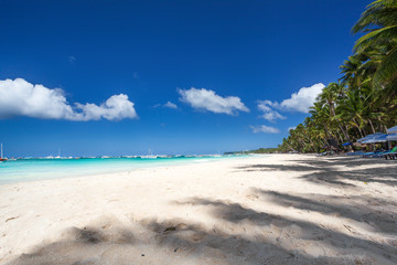 Tropical sandy shore