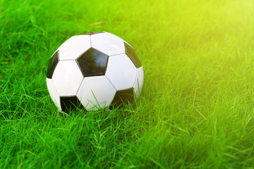 Soccer ball on grass