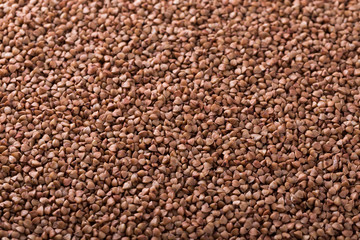 Raw buckwheat background