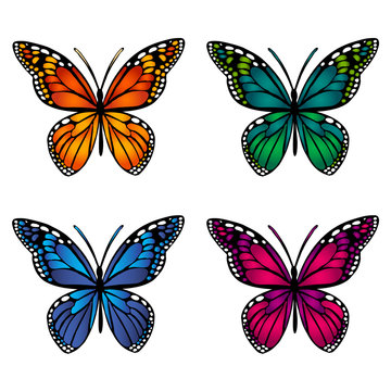 A set of colored butterflies. Isolated objects. Vector Image.