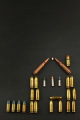 Defending home. Ammunition for defense.

