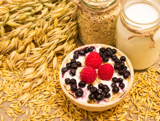 oat grain and oatmeal with fresh fruits