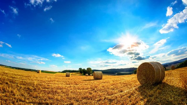 Sommer am Land; die Sonne leuchtet vom strahlend blauen Himmel aufs Feld
