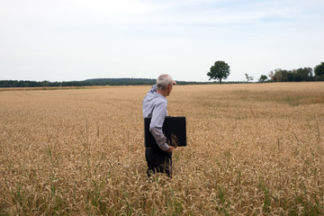 Businessman explore in the wheat field searching for the new opportunities