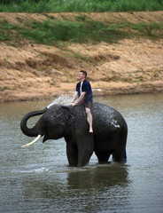 Fun with elephant