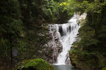 愛媛県宇和島市　薬師谷渓谷　雪輪の滝