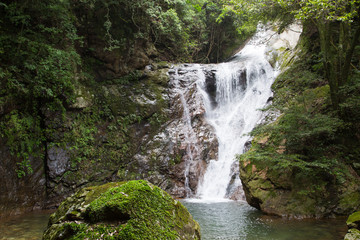 Naklejka premium 愛媛県宇和島市 薬師谷渓谷 雪輪の滝