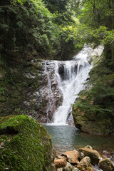 Naklejka premium 愛媛県宇和島市 薬師谷渓谷 雪輪の滝