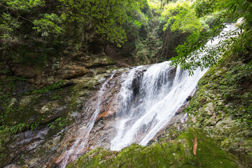 愛媛県宇和島市　薬師谷渓谷　雪輪の滝