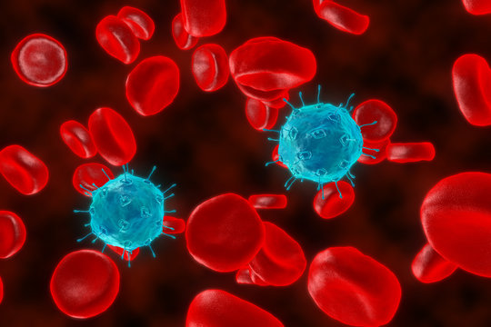 The red blood cells. 3D render of blood defeat the virus. Red blood cells are fighting the bacteria. Protection of cages of an organism.