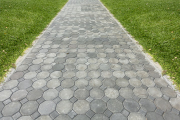 Brick octagona  walkway and green grass lawn in perspective view