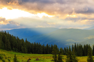Fototapeta na wymiar Picturesque Carpathian mountains landscape, scenery of sunset. Ukraine, Europe.