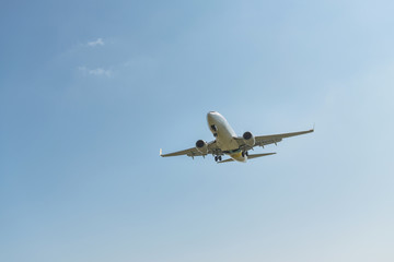 Fototapeta na wymiar 青空を飛翔する旅客機