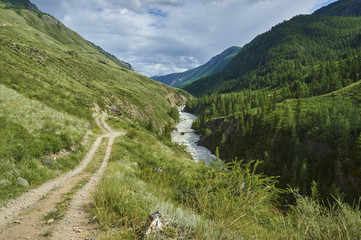 Горный пейзаж с кедрами, Алтай