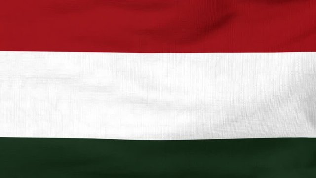 National flag of Hungary flying and waving on the wind. Sate symbol of Hungarian nation and government. Computer generated animation.