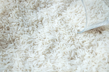 Grains of jasmine rice
