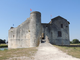 Château de Saint Jean d'Angle: entrée